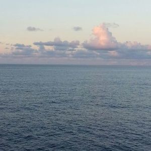 Meet your Posher, Fotis